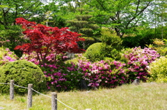 大高緑地公園にて　