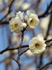 大高緑地公園にて