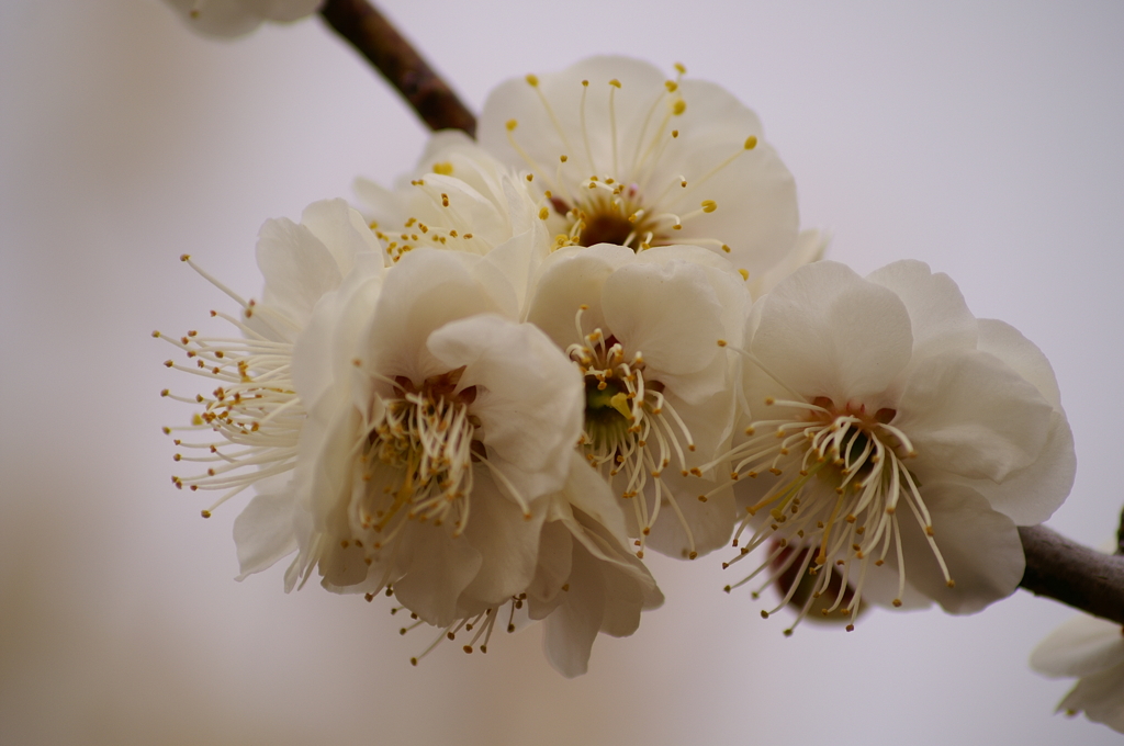 大高緑地公園にて　