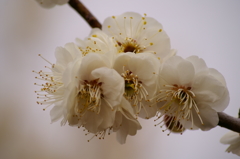 大高緑地公園にて　