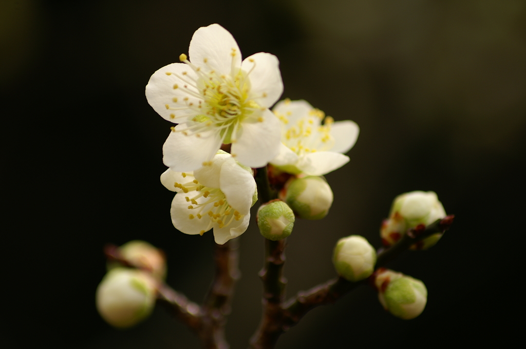 大高緑地公園にて　