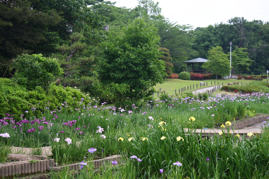 大高緑地公園にて　