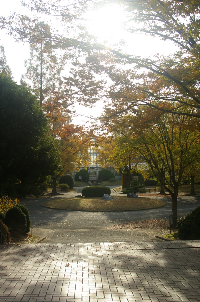 名古屋市農業センターにて