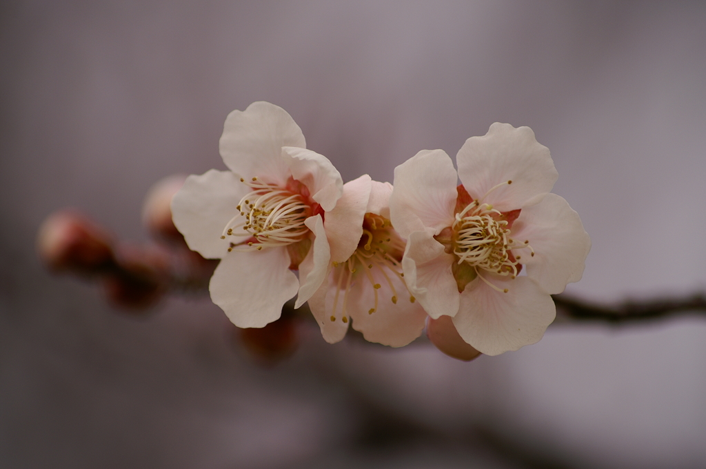 大高緑地公園にて　