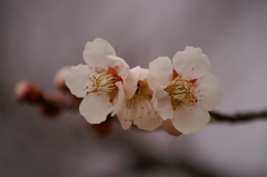 大高緑地公園にて　