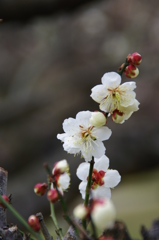 大高緑地公園にて　