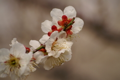 大高緑地公園にて　