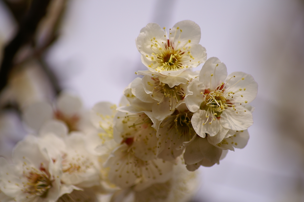 大高緑地公園にて　