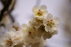 大高緑地公園にて　