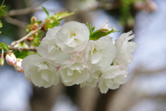 大高緑地公園にて　