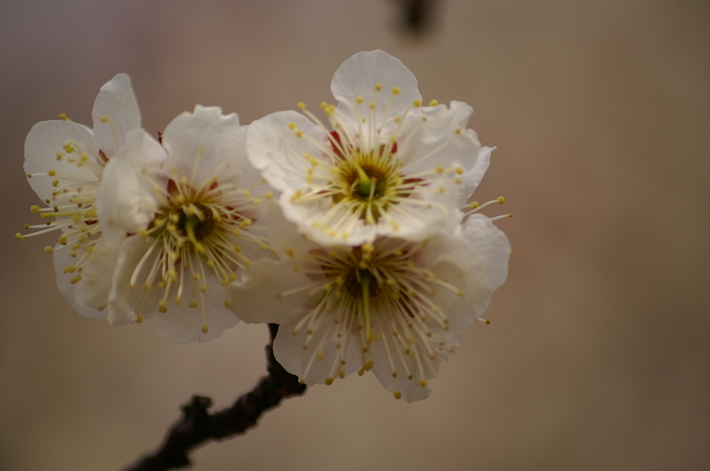 大高緑地公園にて
