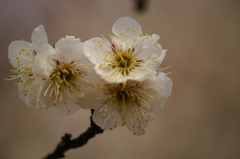 大高緑地公園にて