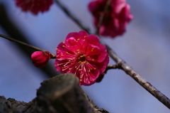 大高緑地公園にて