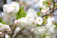 大高緑地公園にて　