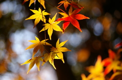 日差しが嬉しくて^^