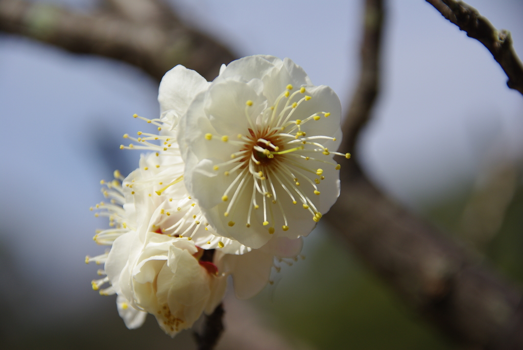 大高緑地公園にて