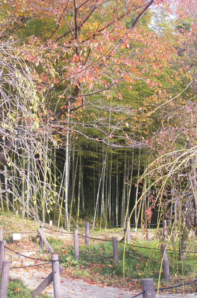 名古屋市農業センターにて