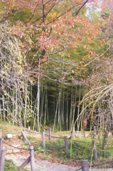 名古屋市農業センターにて