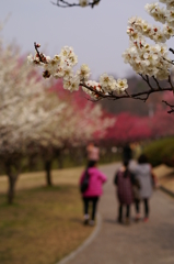 大高緑地公園にて　