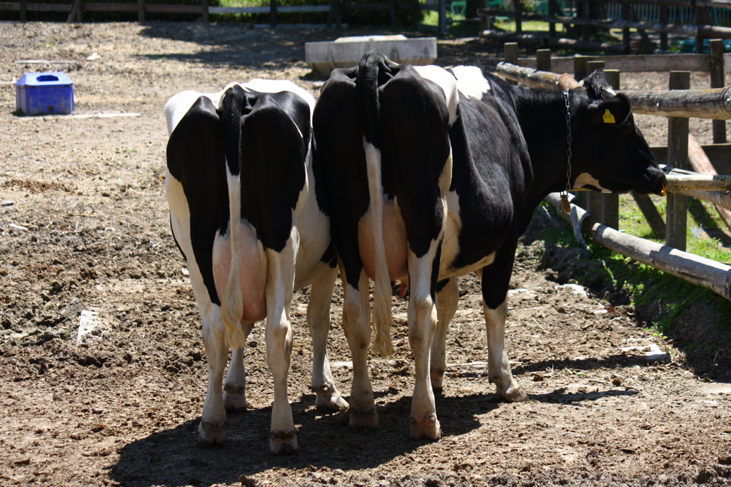 後ろから御免なさい＾＾