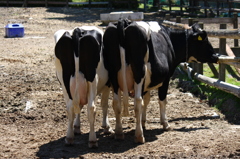 後ろから御免なさい＾＾