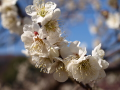 大高緑地公園にて　