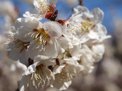 大高緑地公園にて　
