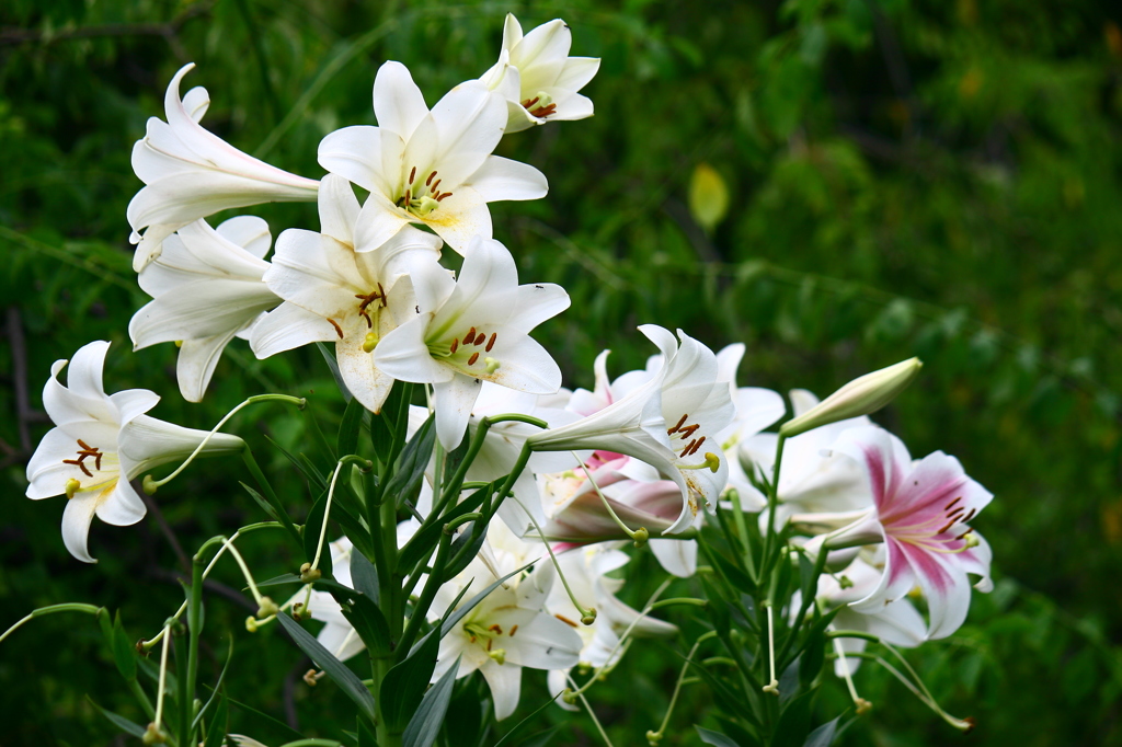 名古屋市農業センターにて　