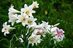 名古屋市農業センターにて　