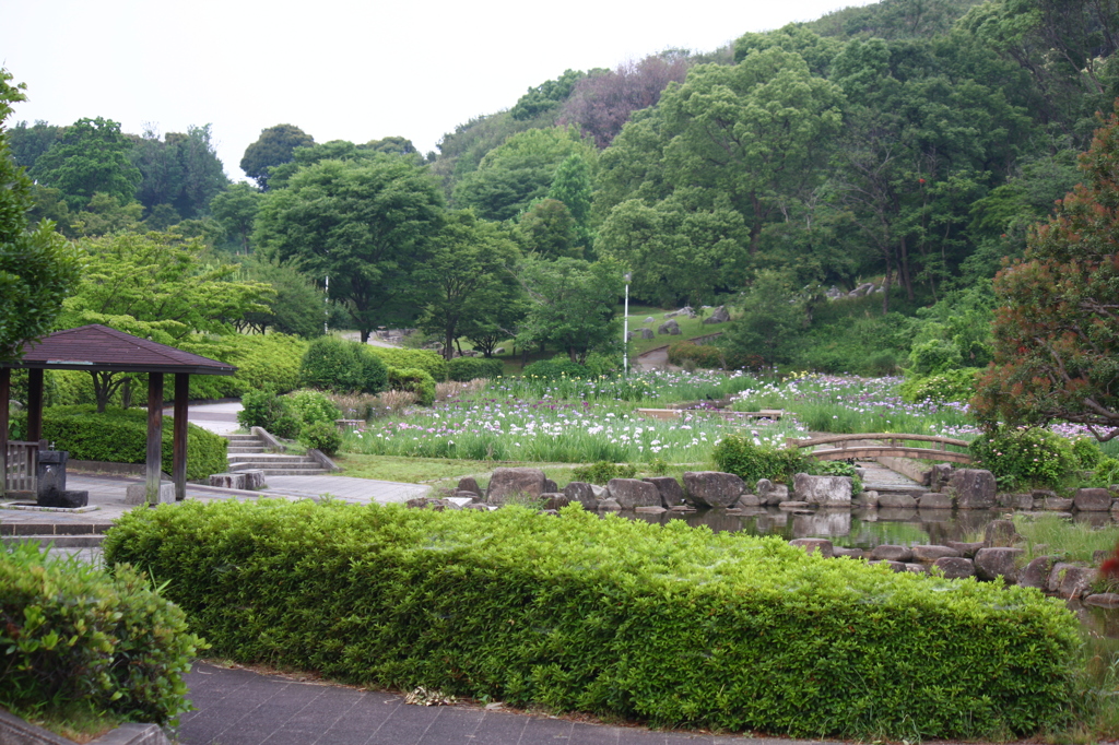 大高緑地公園にて　