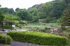 大高緑地公園にて　