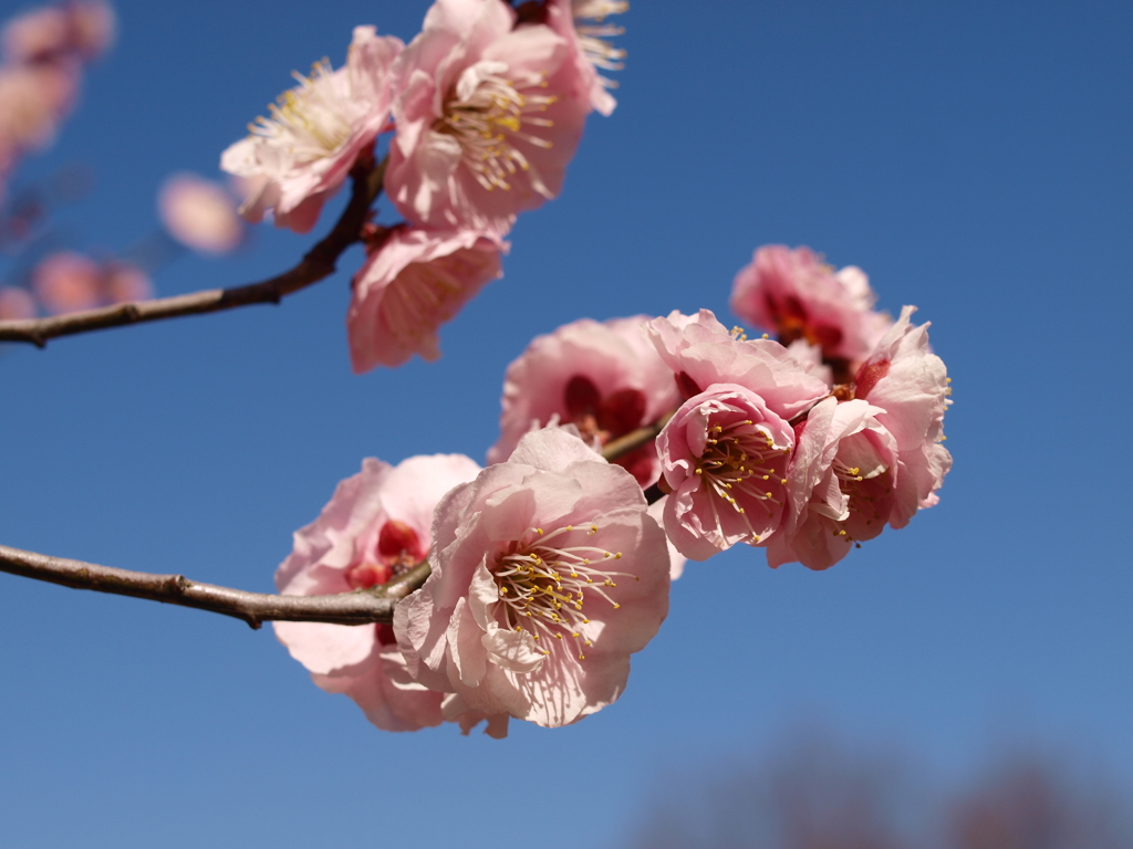 大高緑地公園にて