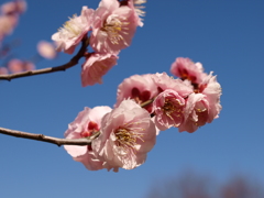 大高緑地公園にて