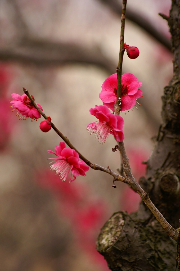 大高緑地公園にて
