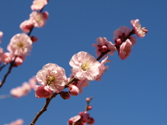 大高緑地公園にて　