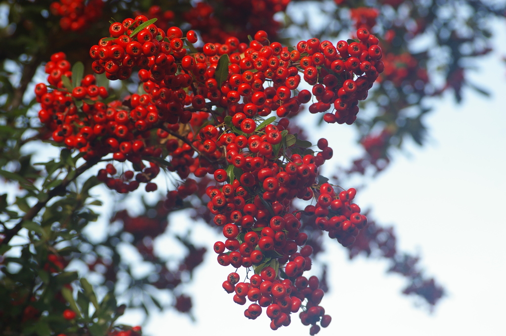 名古屋市農業センターにて