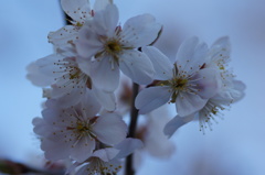 大高緑地公園にて