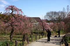 いい写真撮れますか？
