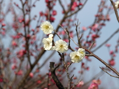 大高緑地公園にて