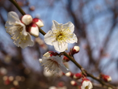 大高緑地公園にて