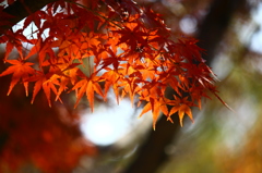 輝きの時を迎えて^^