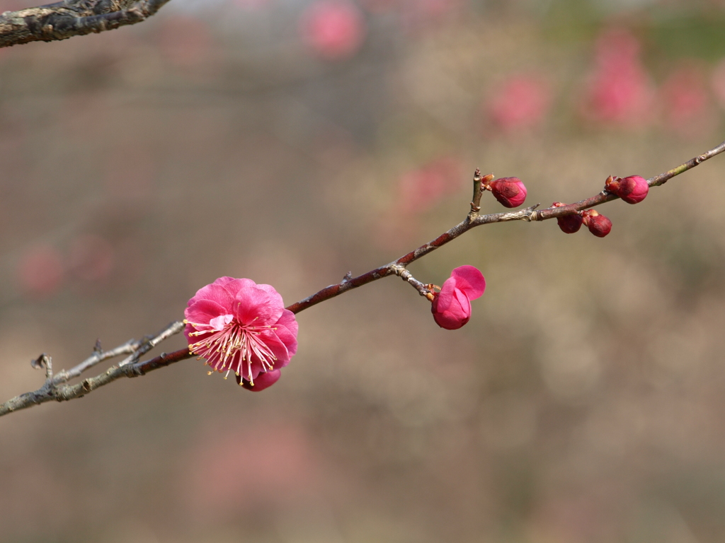 大高緑地公園にて