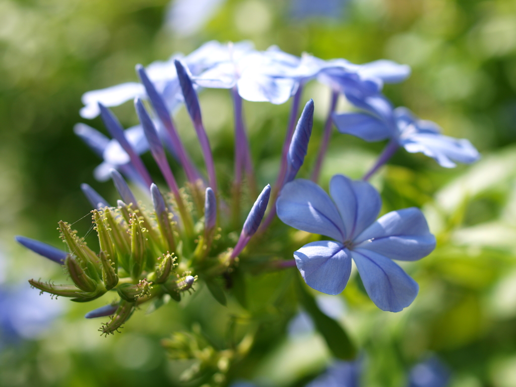 名古屋市農業センターにて　