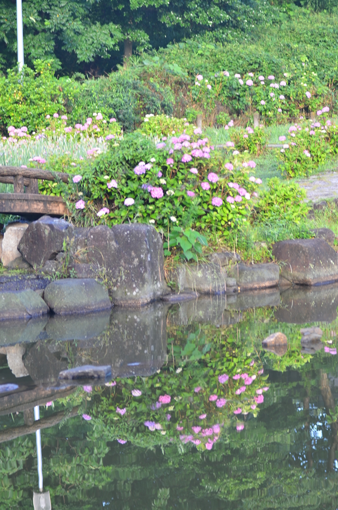 大高緑地公園にて　