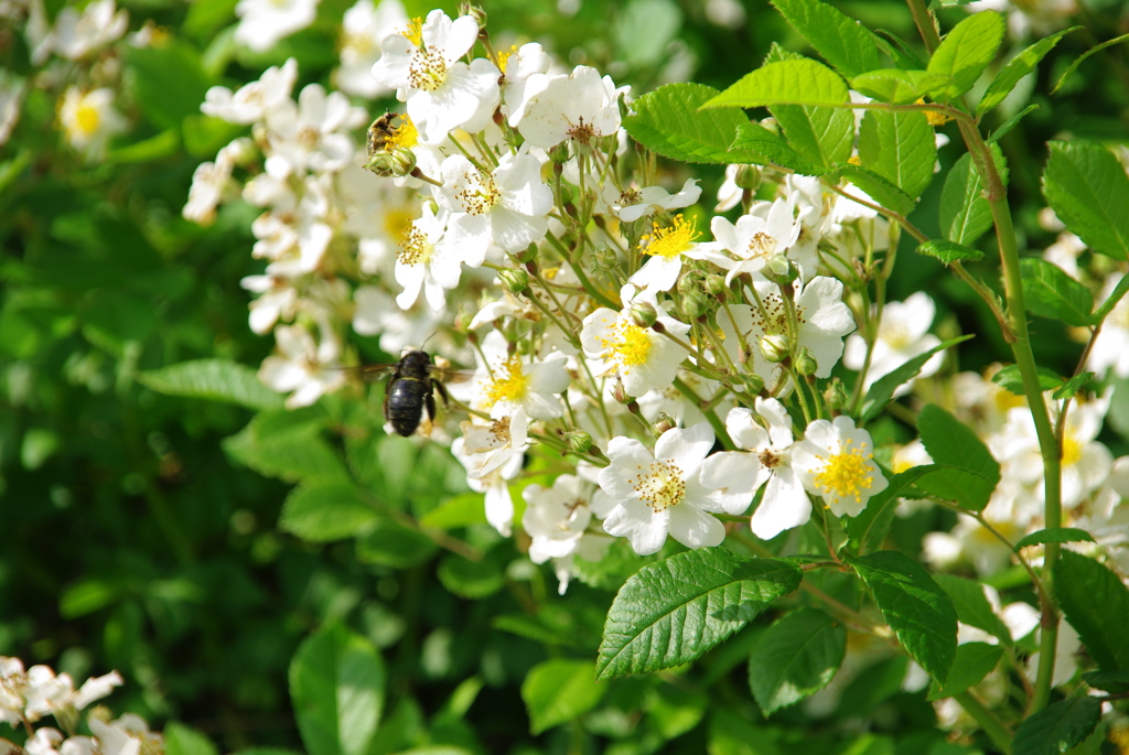 大高緑地公園にて　