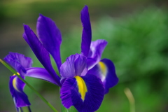 名古屋市農業センターにて　