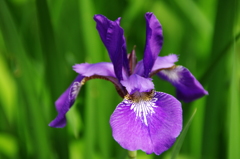 名古屋市農業センターにて　