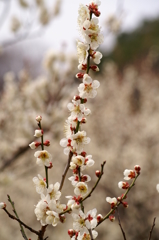 大高緑地公園にて　