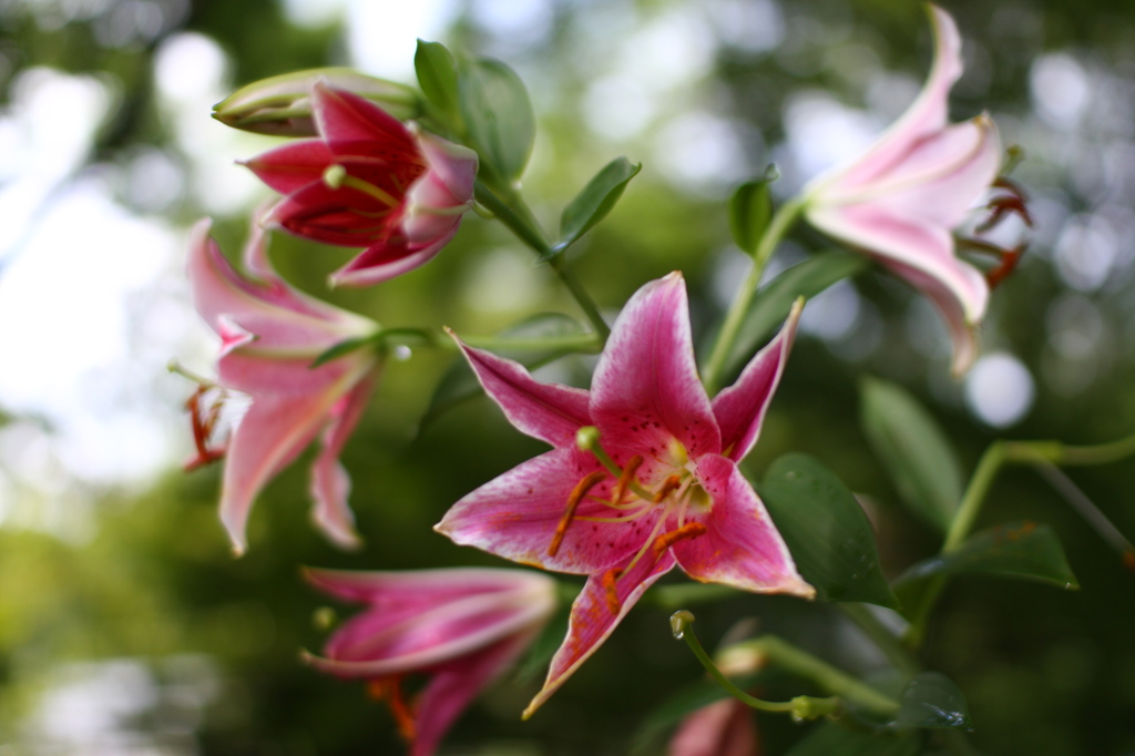 名古屋市農業センターにて　