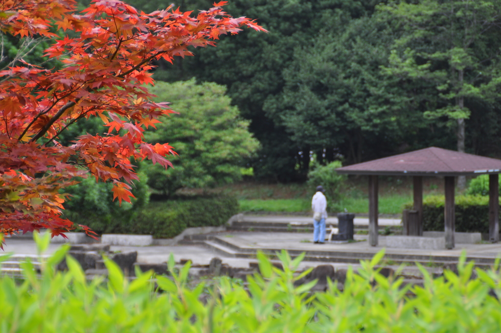 大高緑地公園にて　